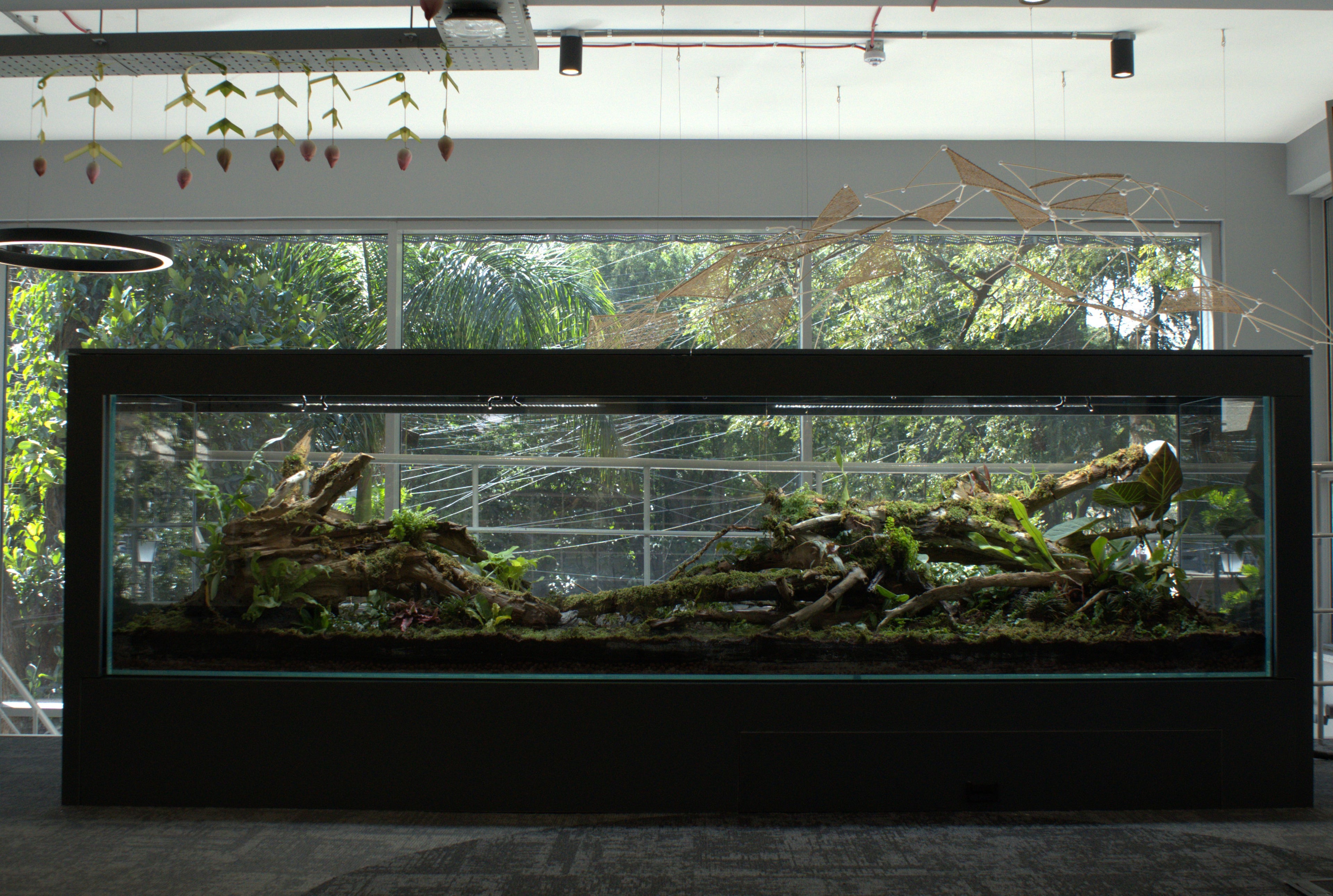 slider image 1621243260e1af0c20-0