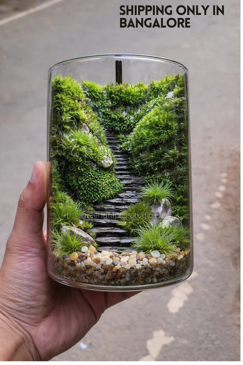6 Inch Cylindrical Terra Greengrapesstudios