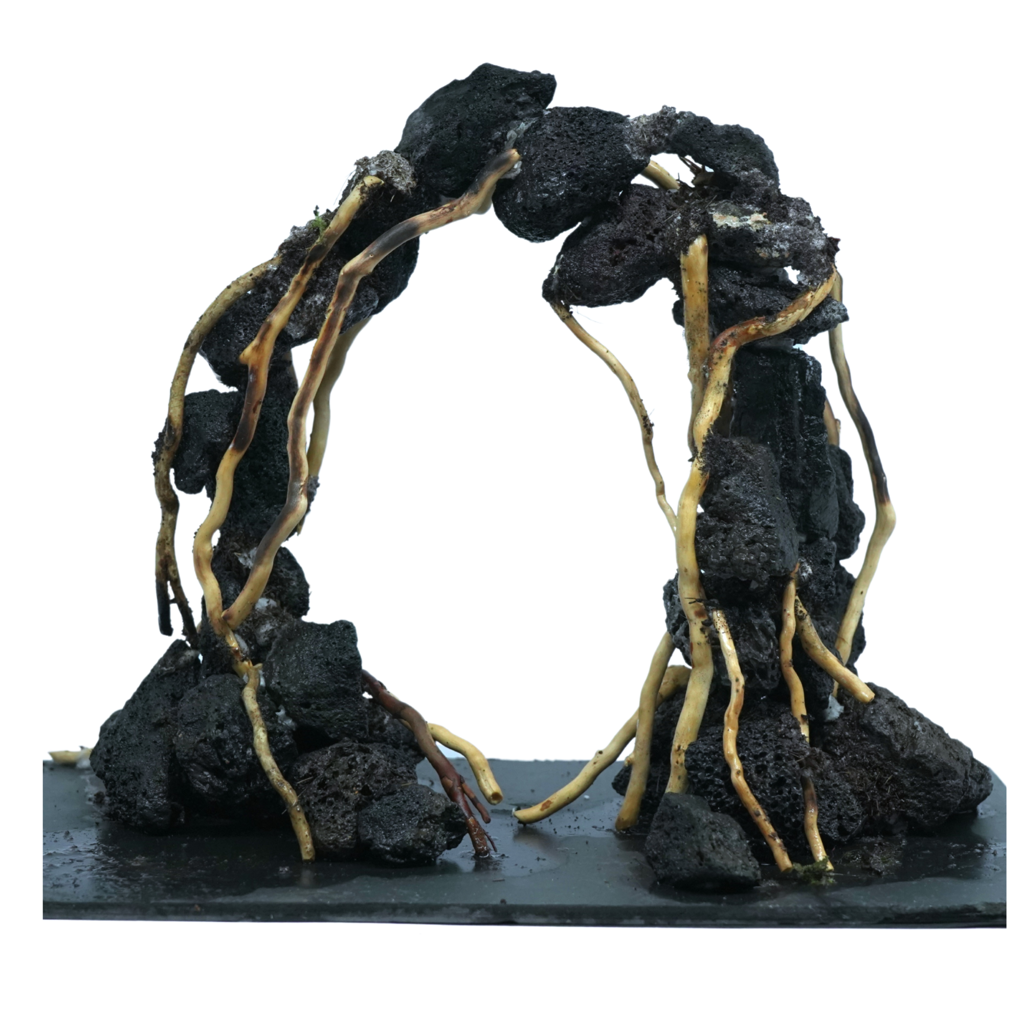 30x30x30 inch Hardscape