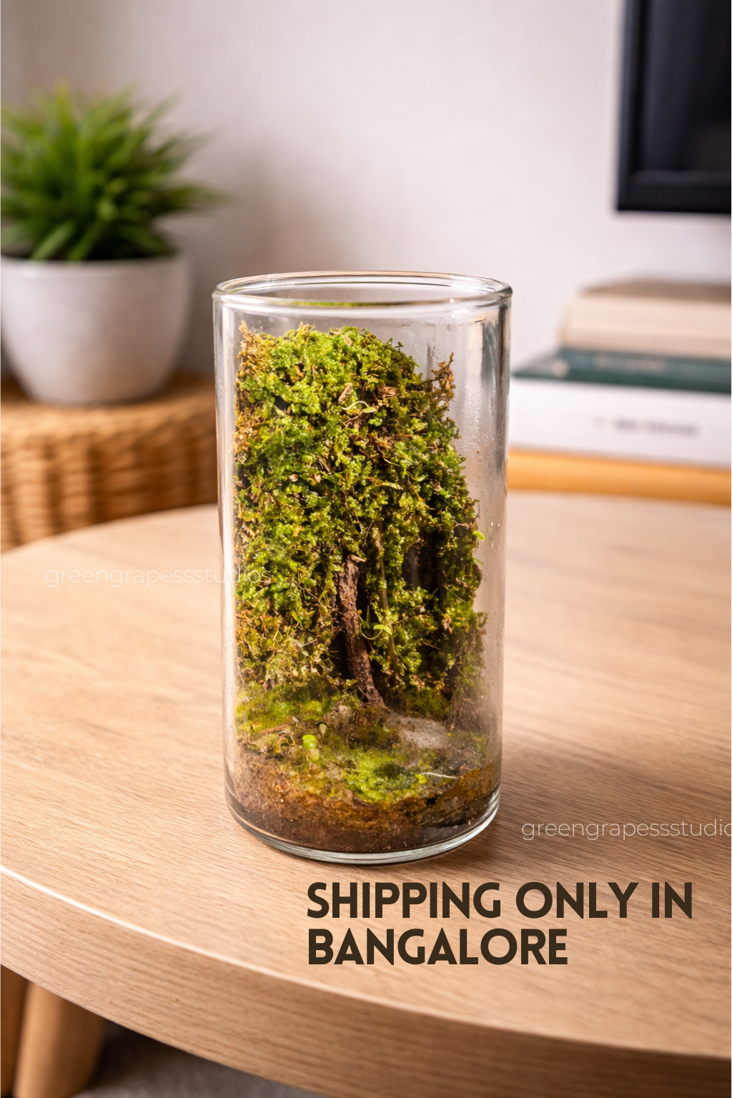 Desktop Terrarium (5 Inch)