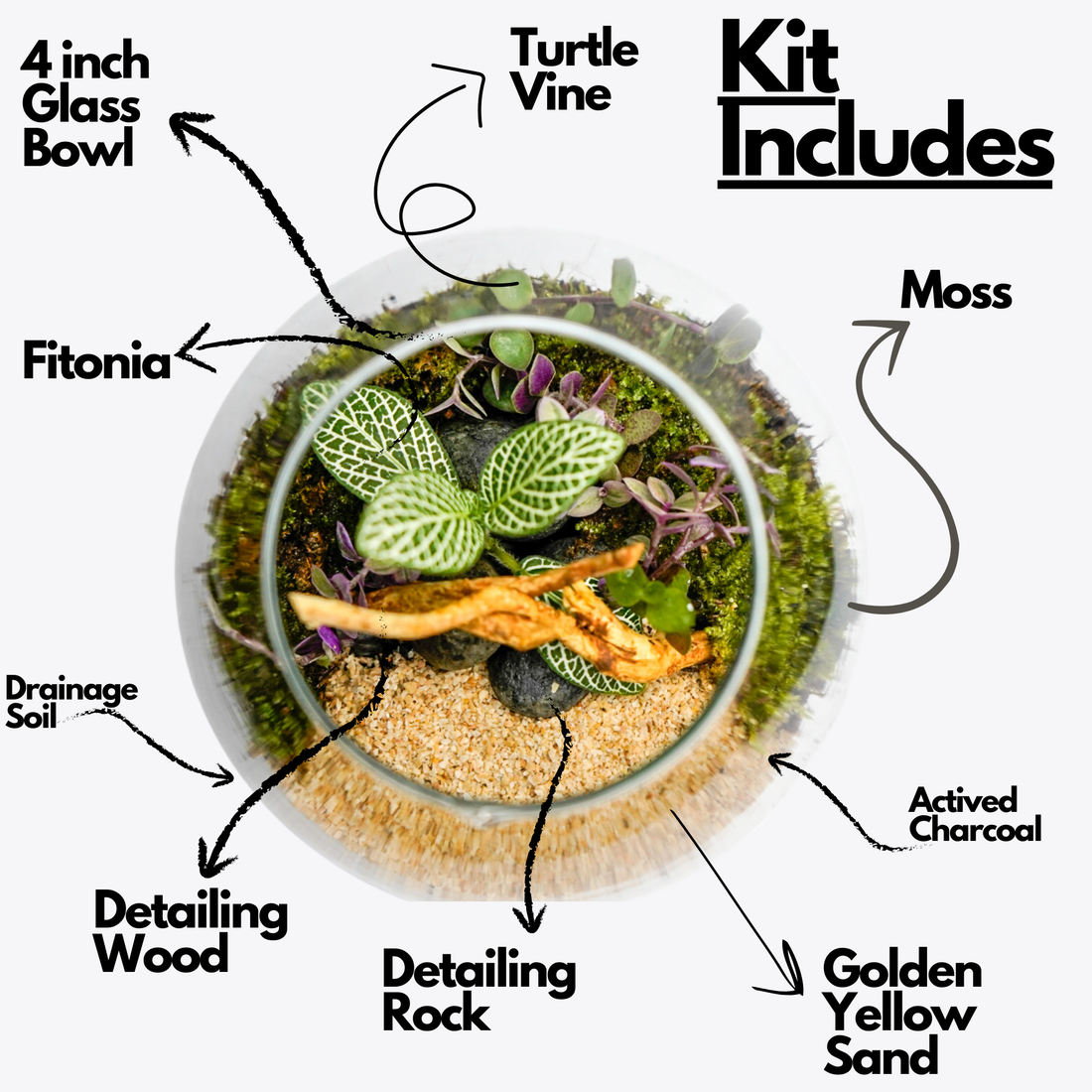 4-Inch Terrarium