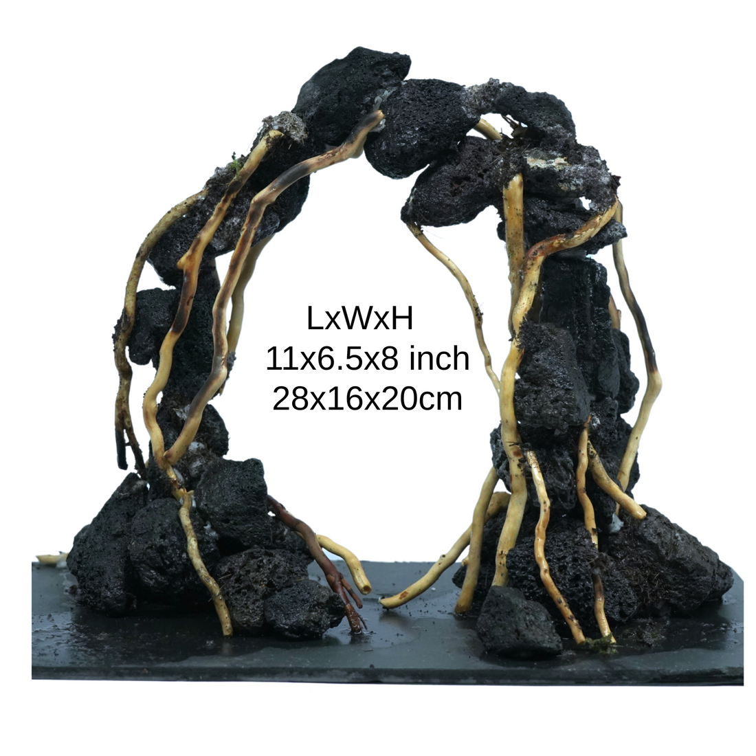 30x30x30 inch Hardscape