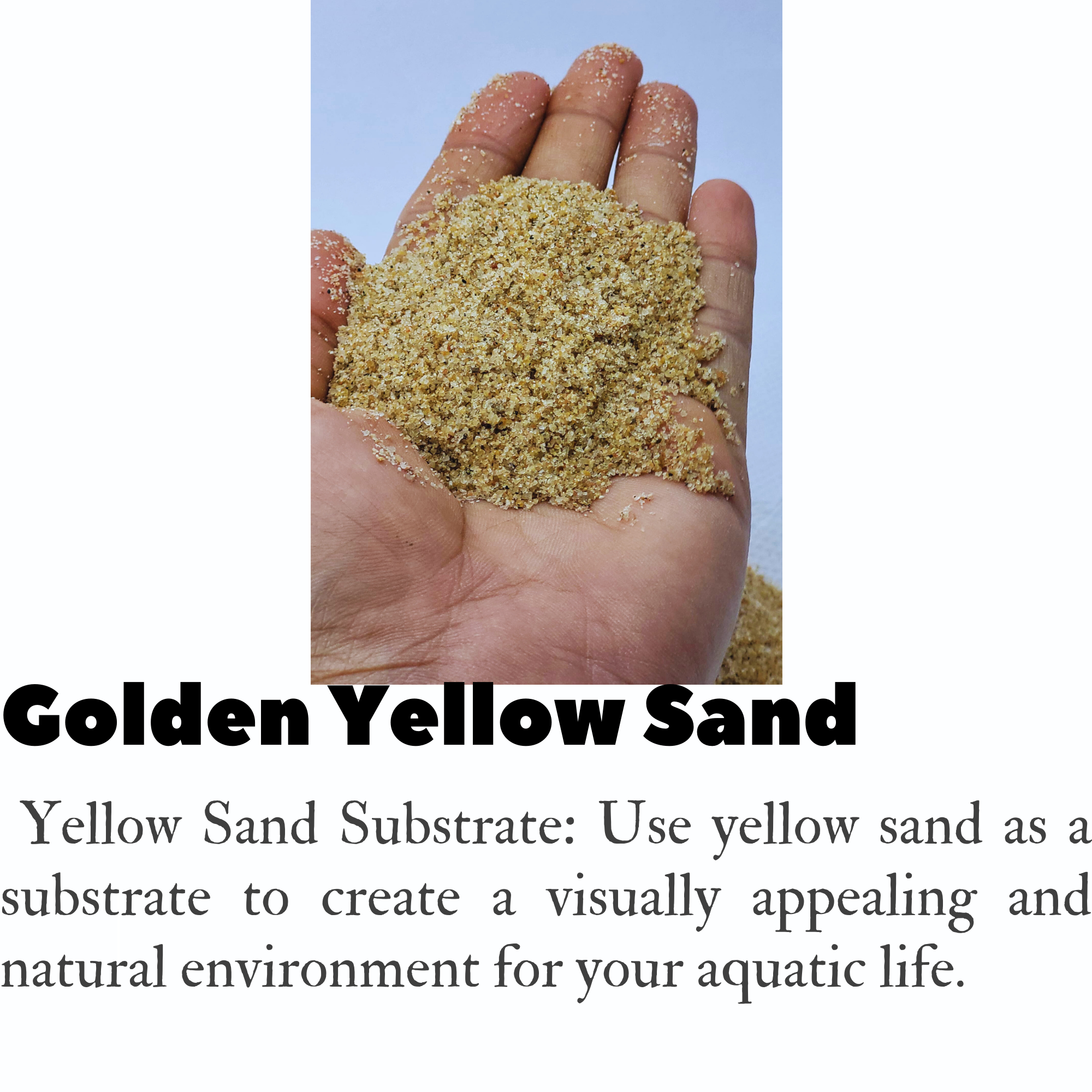 Golden Yellow Sand