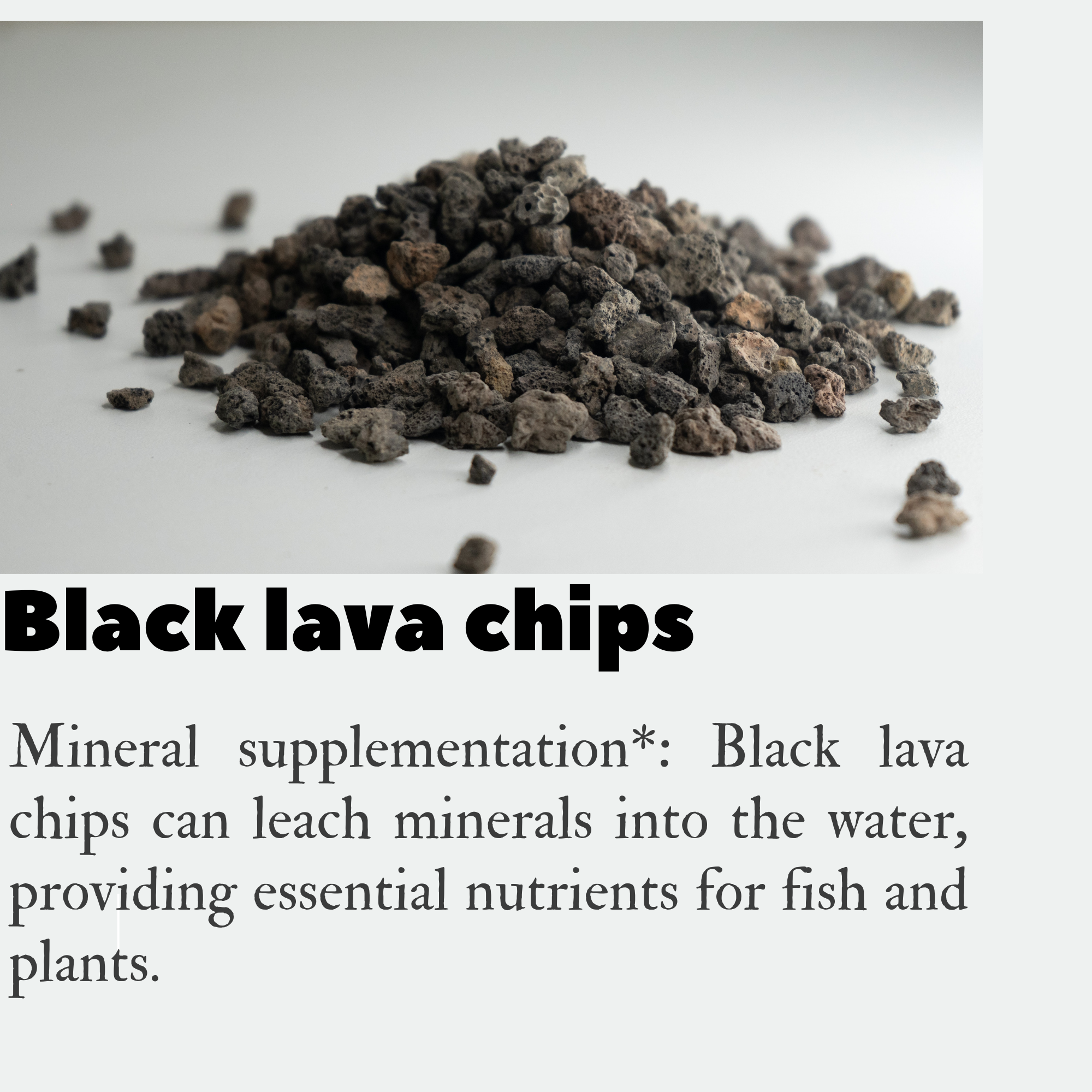 Black Lava chips