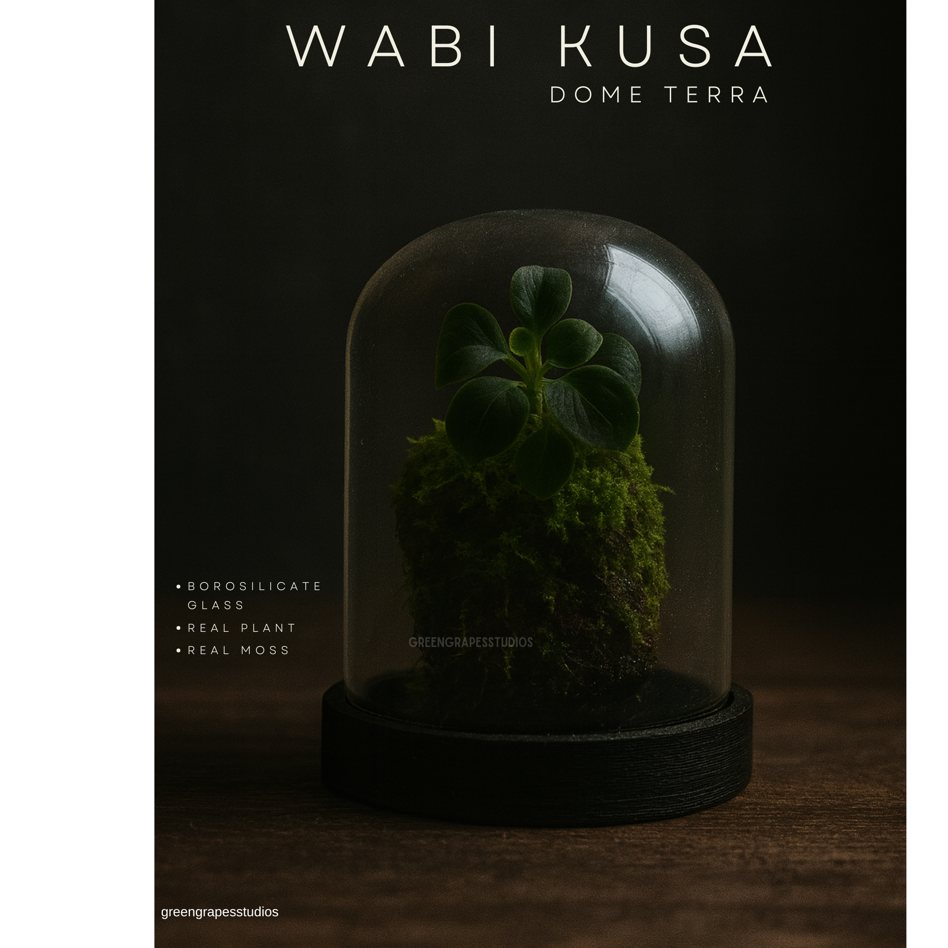 Wabi-Kusa Dome Terrarium | Self-Sustaining Mini Ecosystem with Natural Moss & Aquatic Plants Low Maintenance Glass Terrarium for Home & Office Décor | Perfect Eco-Friendly Gift Greengrapesstudios