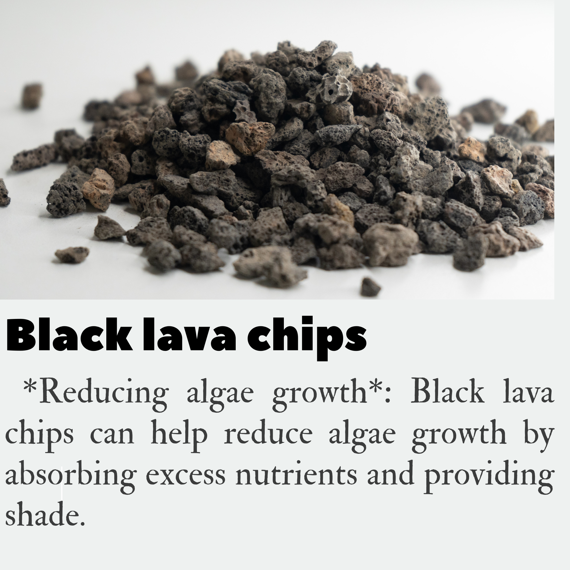 Black Lava chips
