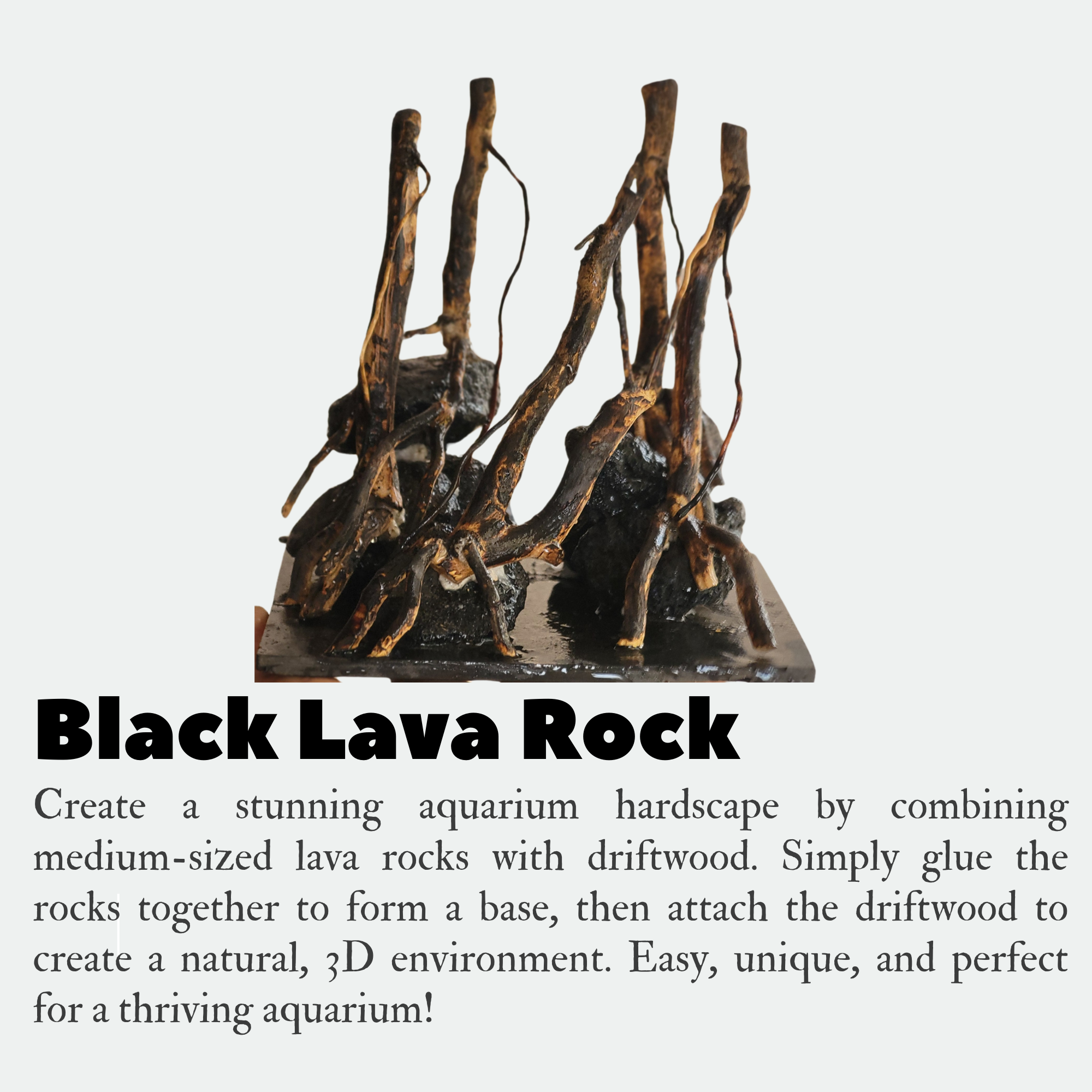 Black Lava Rock