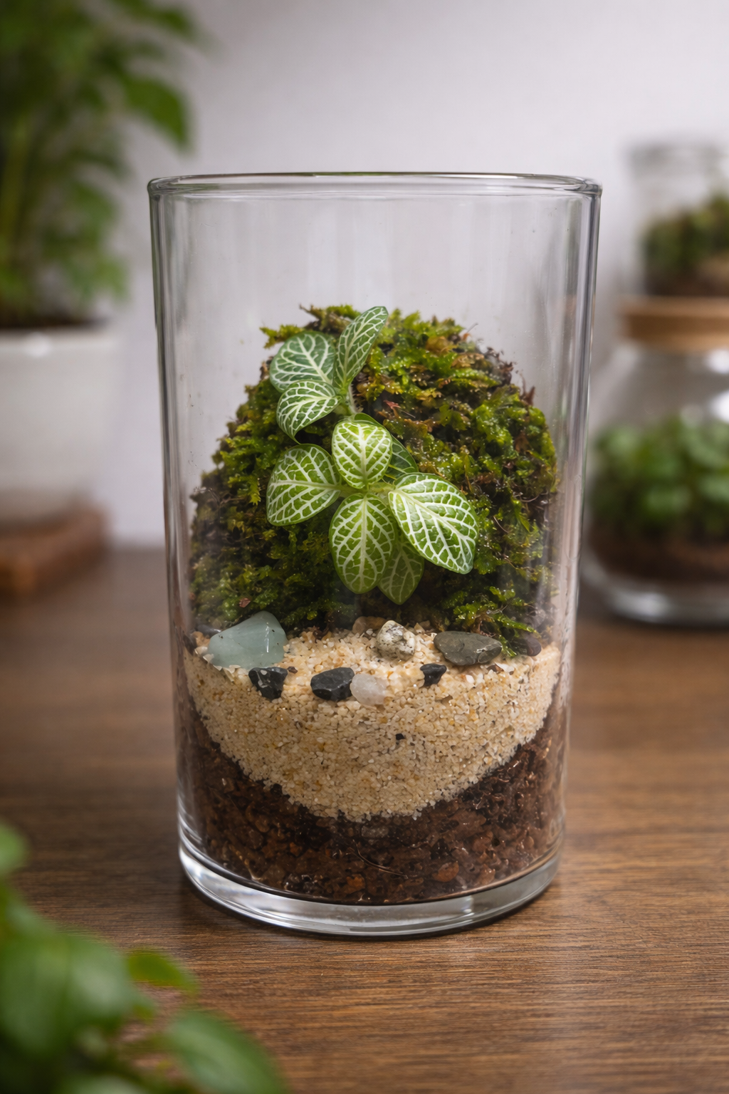 Cylindrical Terrarium C001
