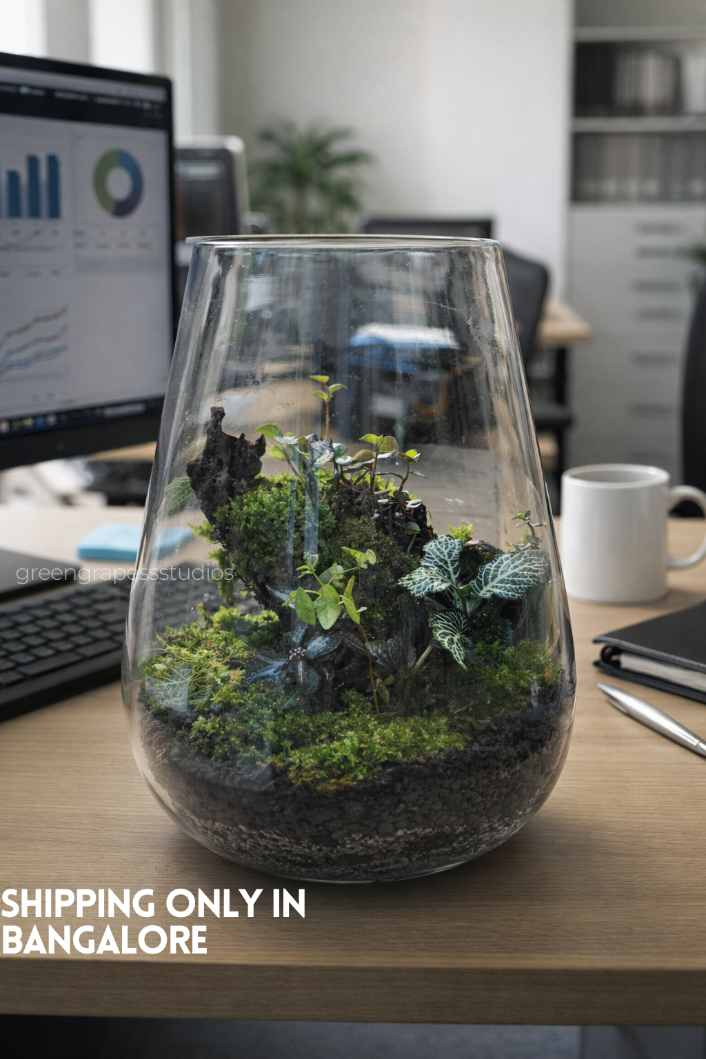 Vase Terrarium_001
