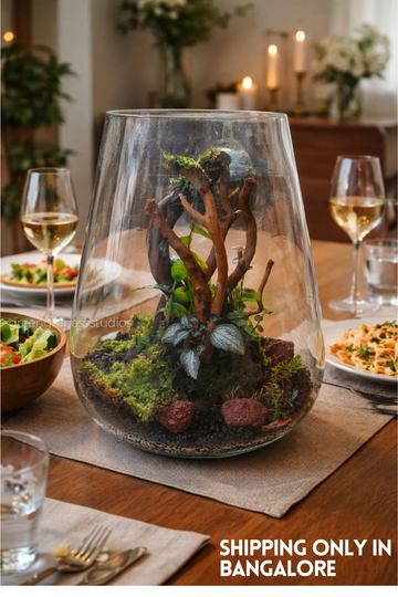 Vase Terrarium - 002