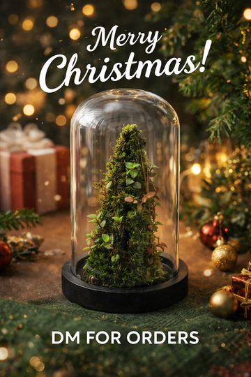 Dome Terrarium (8 Inch)