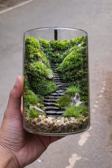 6 Inch Cylindrical Terra