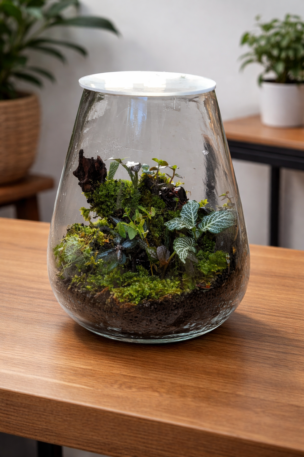 Vase Terrarium_001