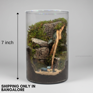 Mountain Theme (8Inch)