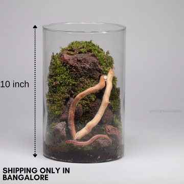 Mountain Theme (10Inch)