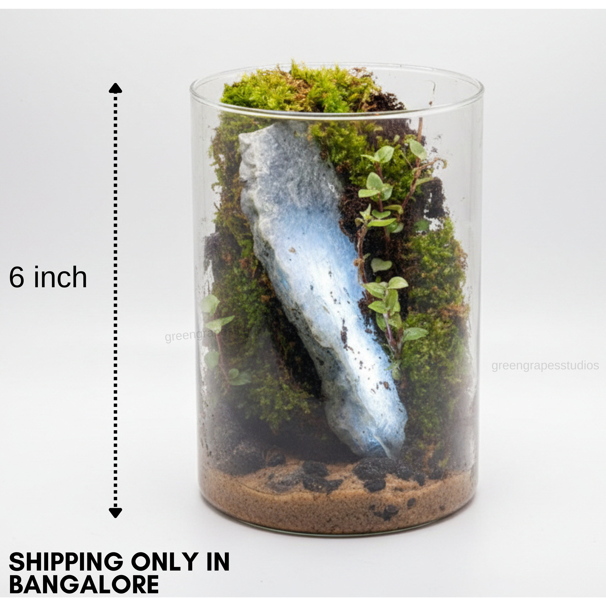 Mountain Theme (6Inch)