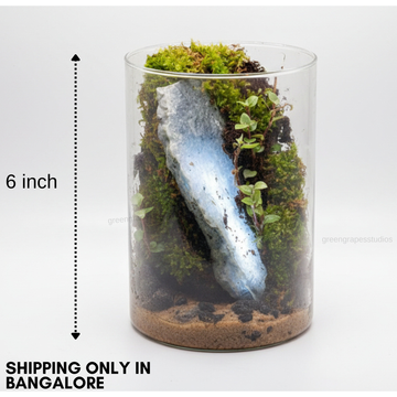 Mountain Theme (6Inch)