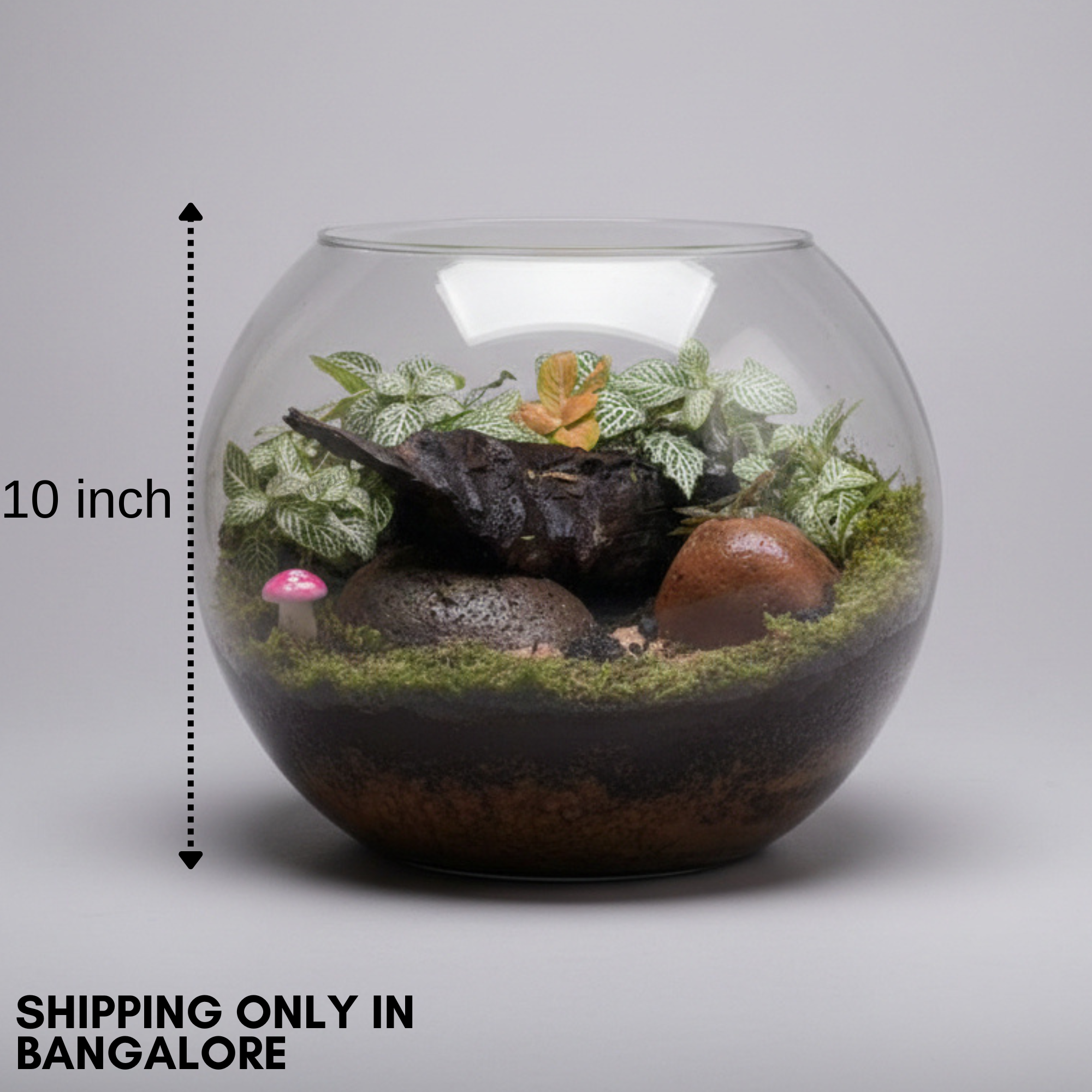 River Theme (10 Inch)