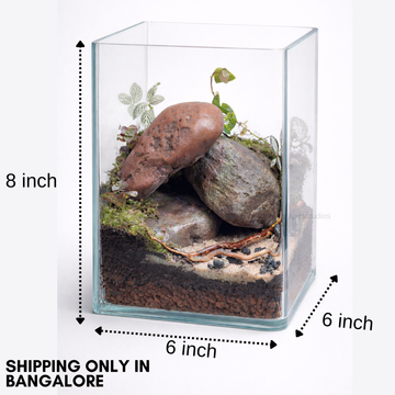 River Theme (6x6x8 inch)