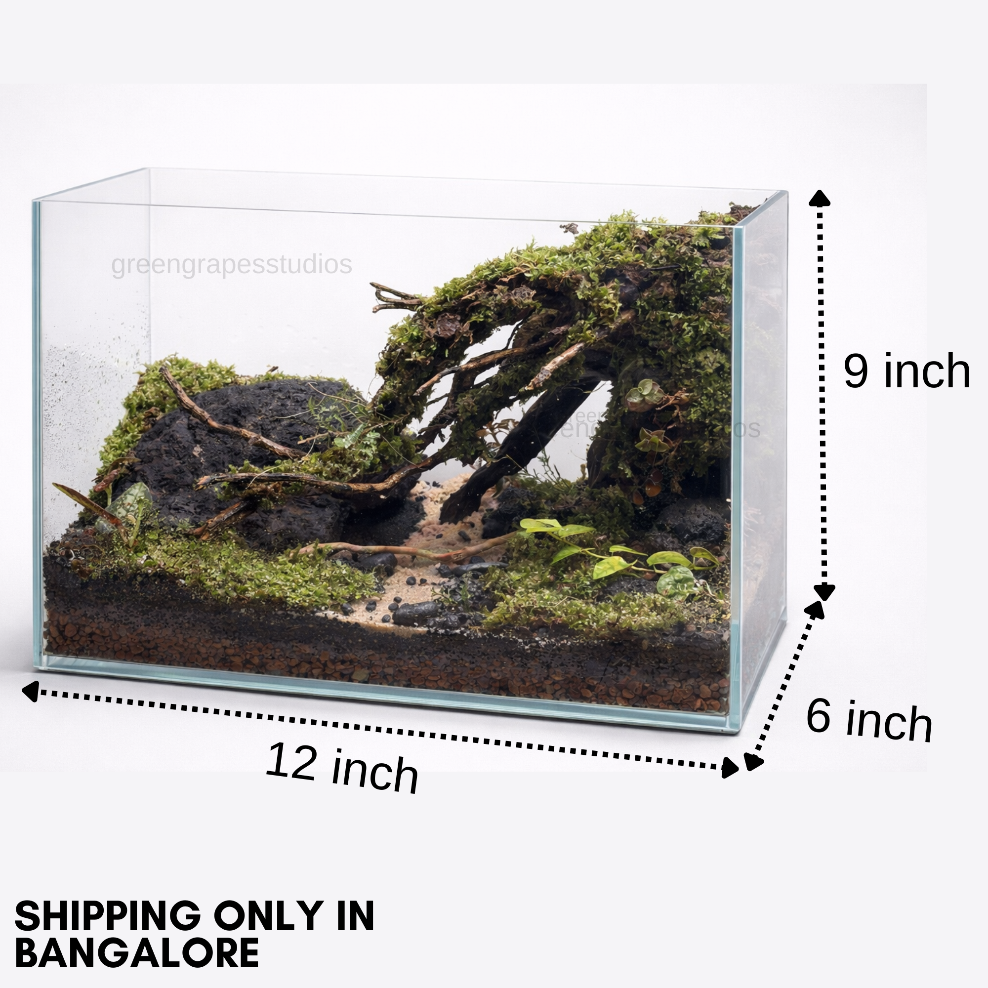 Into the woods Theme (12x6x9 inch)