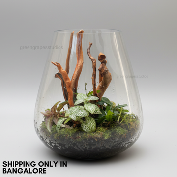 Vase Terrarium_004