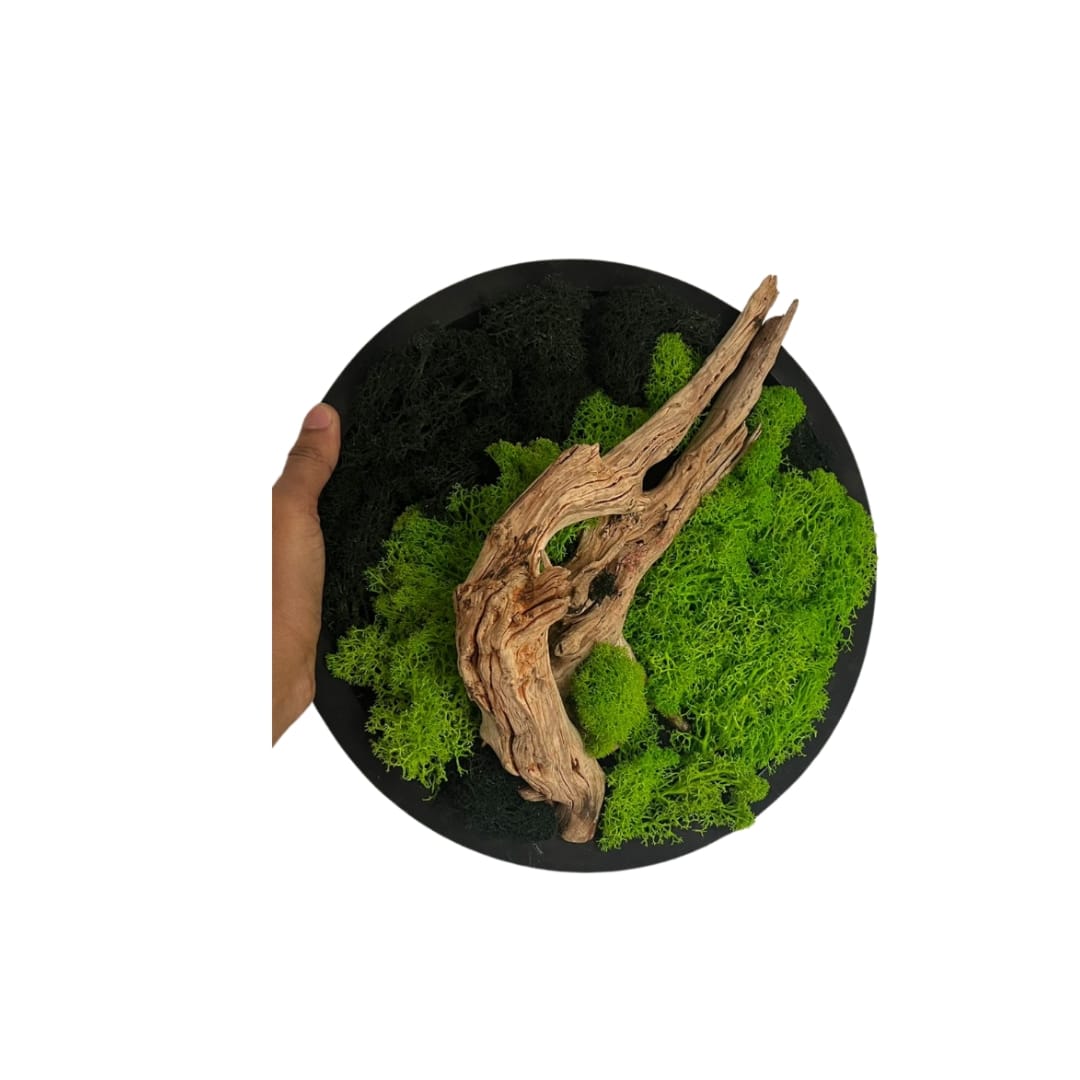 Preserved Moss Frame