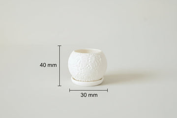 Miniature Plant Pot with Base(Set Of 4) Greengrapesstudios