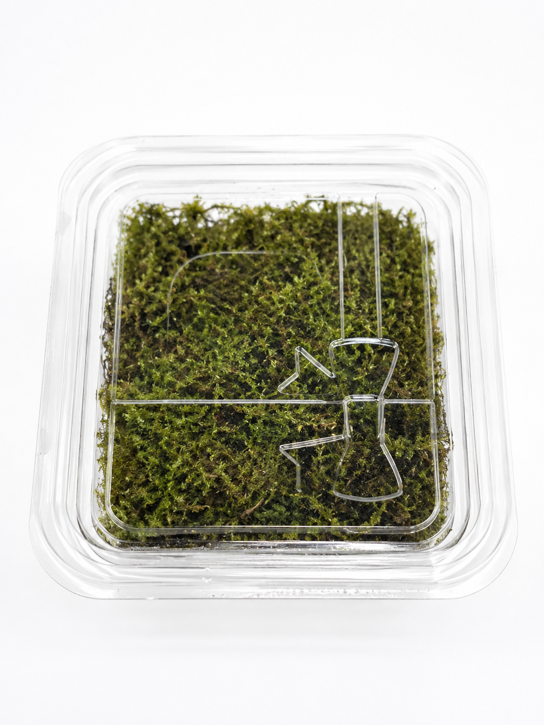 Badge moss (Terrarium) Greengrapesstudios