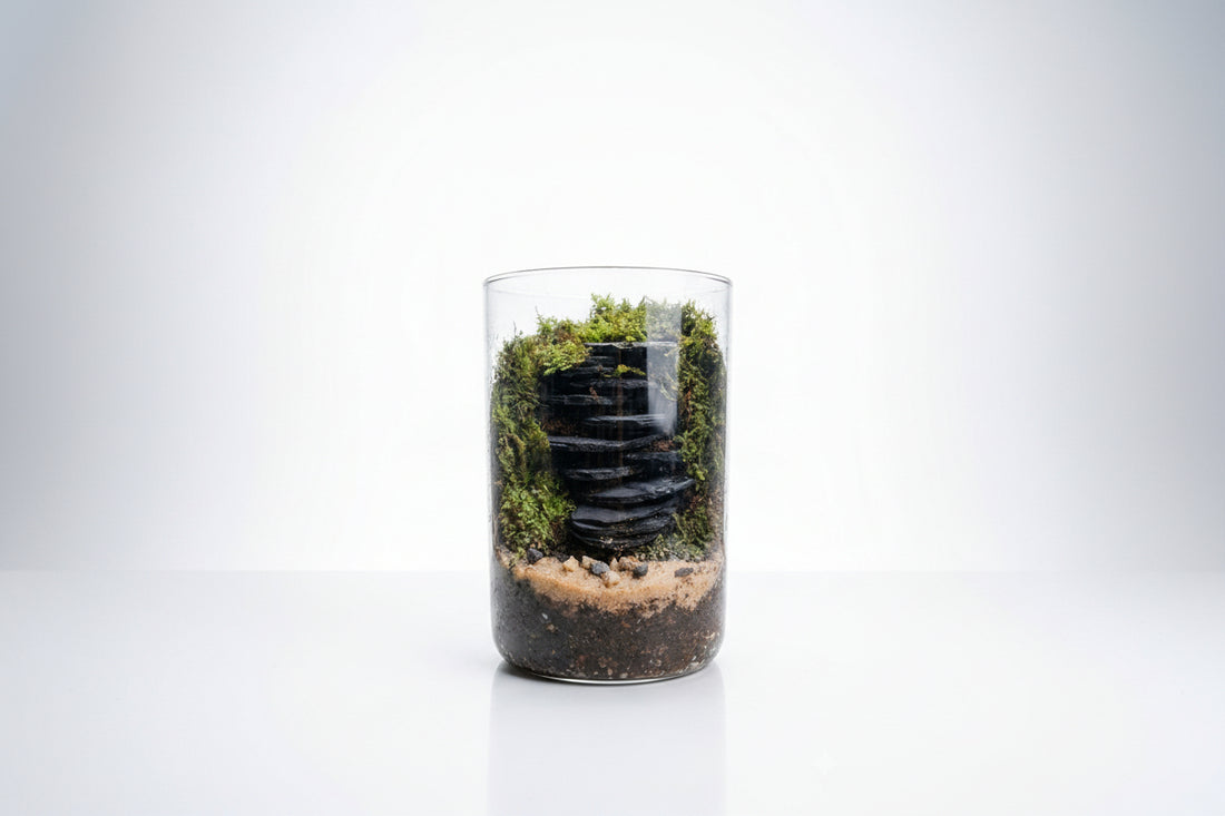 Cylindrical Terrarium Greengrapesstudios