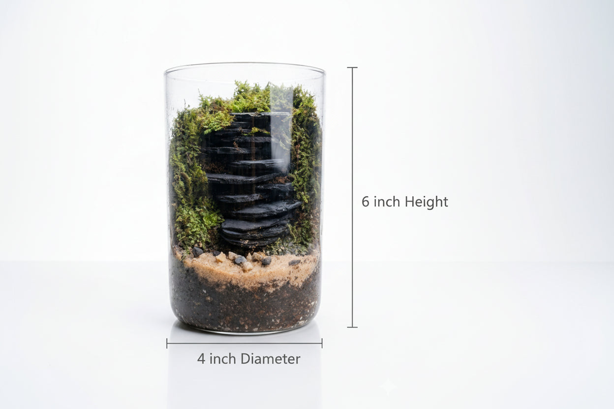 Step Terrarium #terrarium