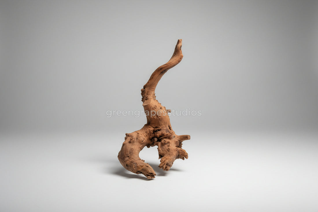 Driftwood-003 (Up to 1 feet tank)