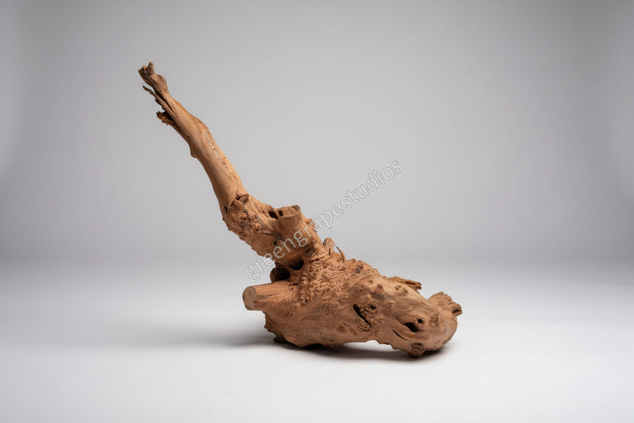 Driftwood-003 (Up to 1 feet tank)