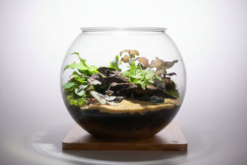 River Theme (10 Inch)