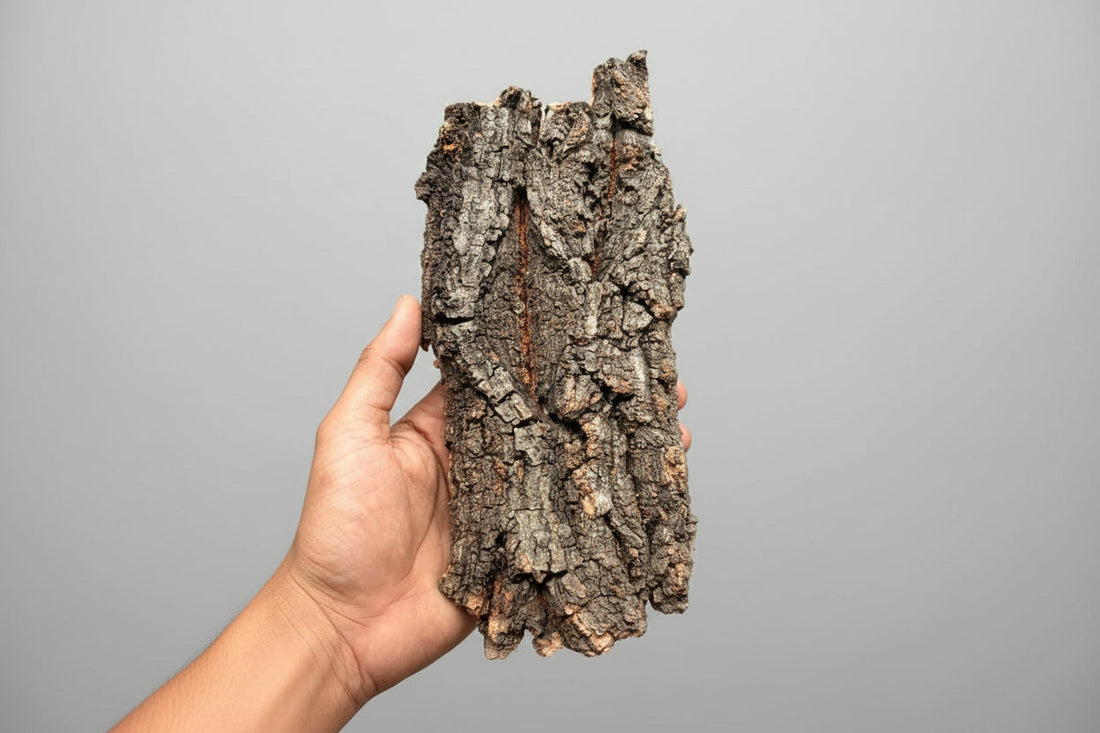 Cork Bark Set of 2 Greengrapesstudios