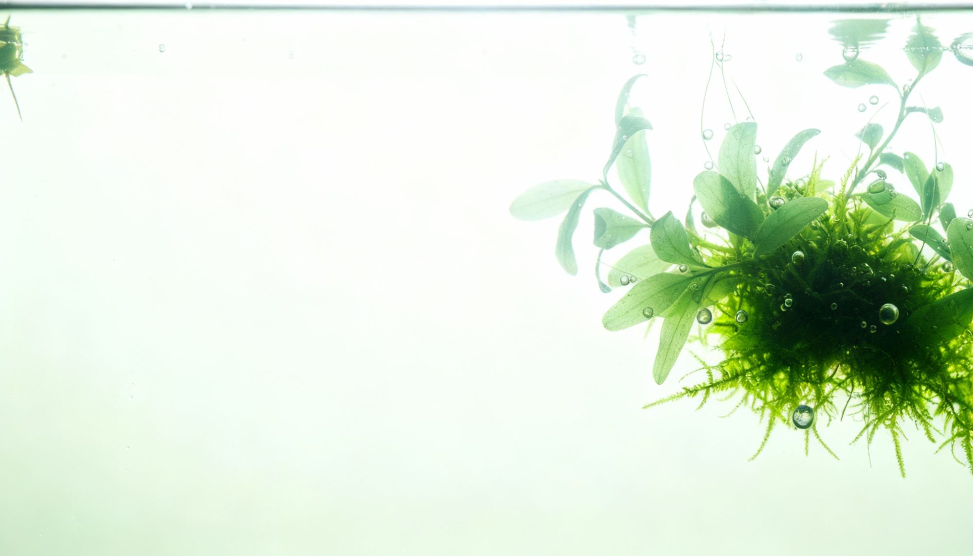 slider image 1621243260e1af0c20-1