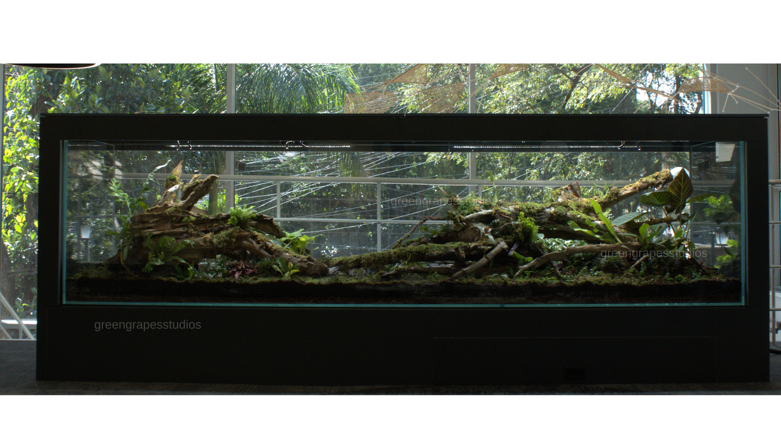 slider image slider_item_WFdYkY