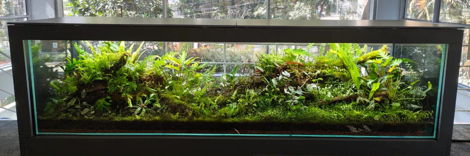 slider image slider_item_nwLLNV