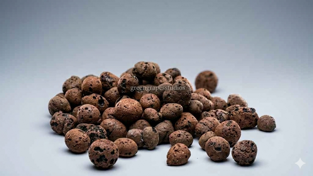 leca ball for plant